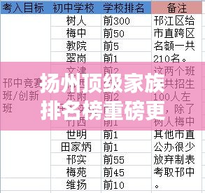 揚(yáng)州頂級(jí)家族排名榜重磅更新！