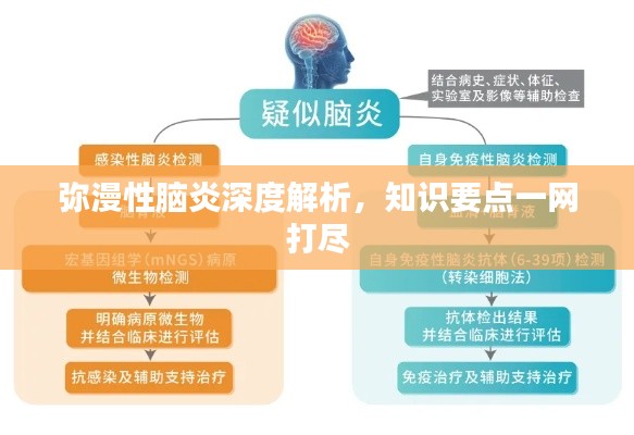 彌漫性腦炎深度解析，知識(shí)要點(diǎn)一網(wǎng)打盡