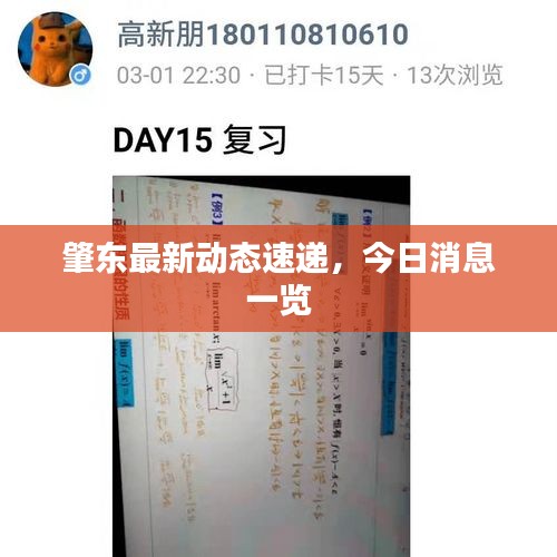 灰飛煙滅 第3頁