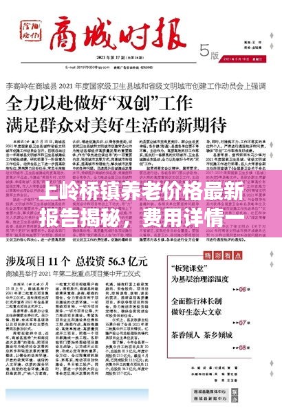 上嶺橋鎮(zhèn)養(yǎng)老價格最新報告揭秘，費用詳情一網(wǎng)打盡