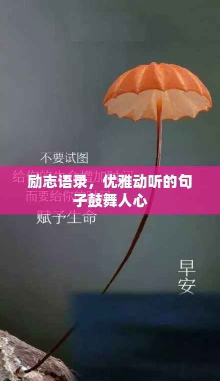 勵志語錄，優(yōu)雅動聽的句子鼓舞人心