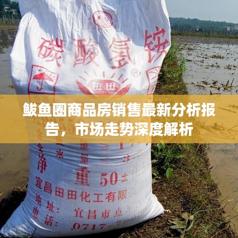 鲅魚圈商品房銷售最新分析報告，市場走勢深度解析
