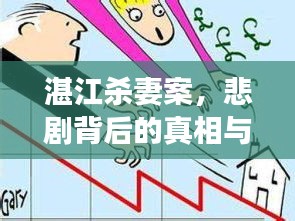湛江殺妻案，悲劇背后的真相與深度剖析
