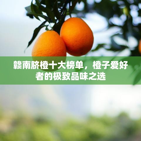 贛南臍橙十大榜單，橙子愛好者的極致品味之選