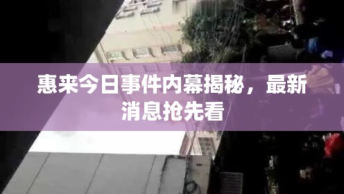 惠來今日事件內(nèi)幕揭秘，最新消息搶先看
