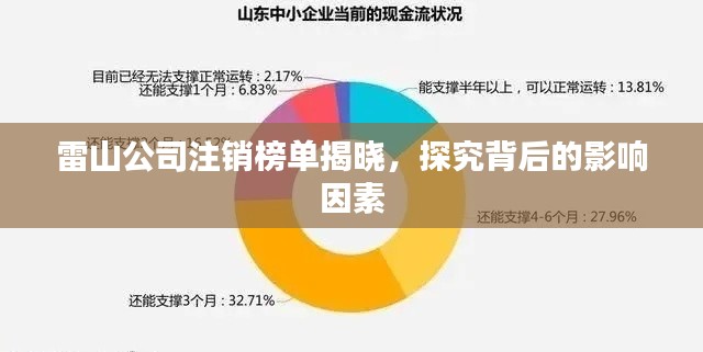 雷山公司注銷榜單揭曉，探究背后的影響因素