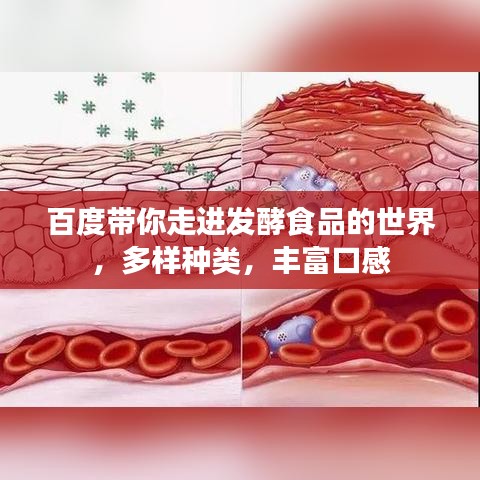 百度帶你走進發(fā)酵食品的世界，多樣種類，豐富口感