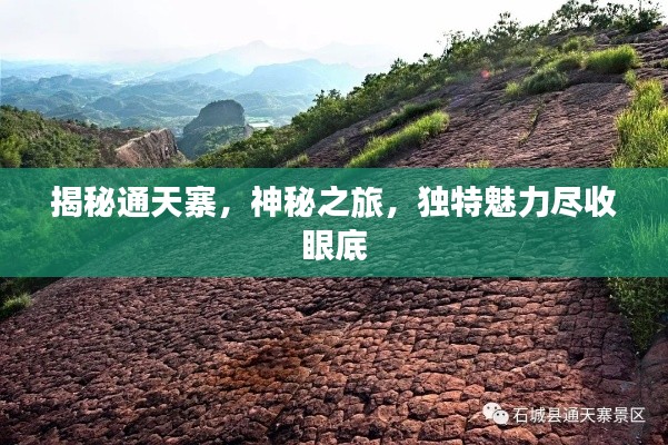 揭秘通天寨，神秘之旅，獨(dú)特魅力盡收眼底