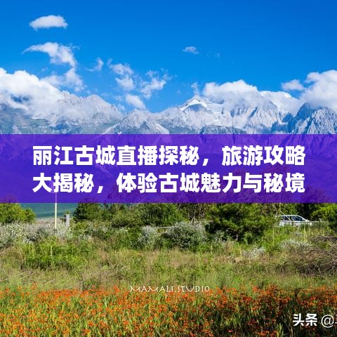 麗江古城直播探秘，旅游攻略大揭秘，體驗(yàn)古城魅力與秘境之旅！