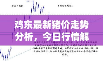 雞東最新豬價(jià)走勢(shì)分析，今日行情解讀