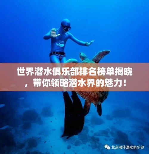 世界潛水俱樂部排名榜單揭曉，帶你領(lǐng)略潛水界的魅力！