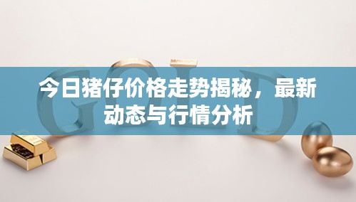 今日豬仔價(jià)格走勢揭秘，最新動態(tài)與行情分析