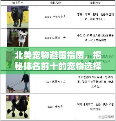 北美寵物避雷指南，揭秘排名前十的寵物選擇