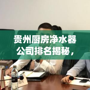 貴州廚房?jī)羲鞴九琶颐兀袌?chǎng)影響力與市場(chǎng)份額的較量