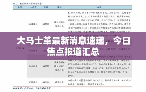 大馬士革最新消息速遞，今日焦點(diǎn)報(bào)道匯總
