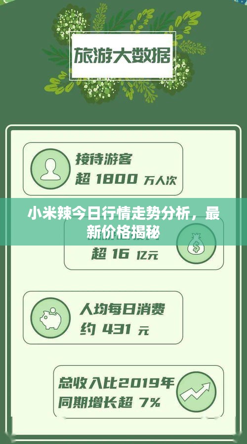 小米辣今日行情走勢分析，最新價格揭秘