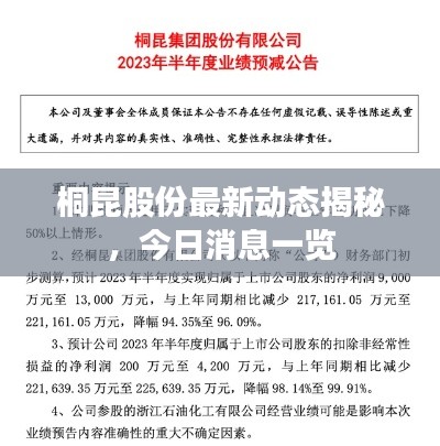 桐昆股份最新動態(tài)揭秘，今日消息一覽
