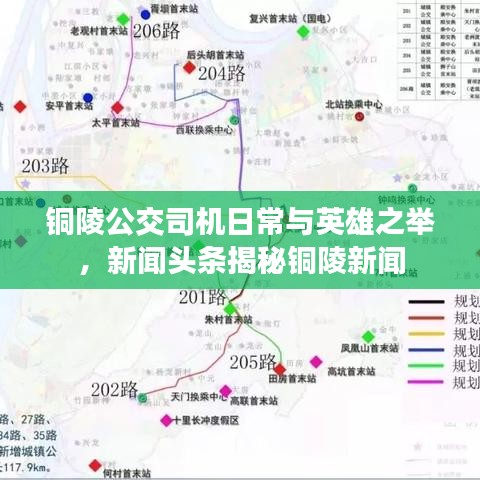 銅陵公交司機日常與英雄之舉，新聞頭條揭秘銅陵新聞