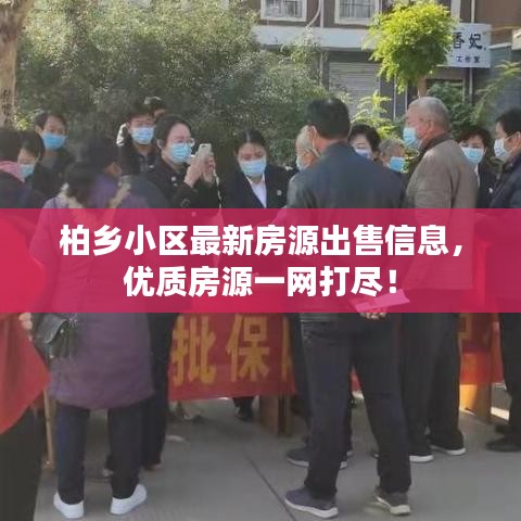 柏鄉(xiāng)小區(qū)最新房源出售信息，優(yōu)質(zhì)房源一網(wǎng)打盡！