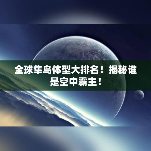 全球隼鳥體型大排名！揭秘誰是空中霸主！