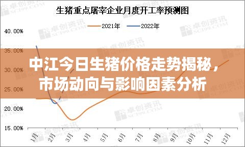 中江今日生豬價(jià)格走勢(shì)揭秘，市場(chǎng)動(dòng)向與影響因素分析