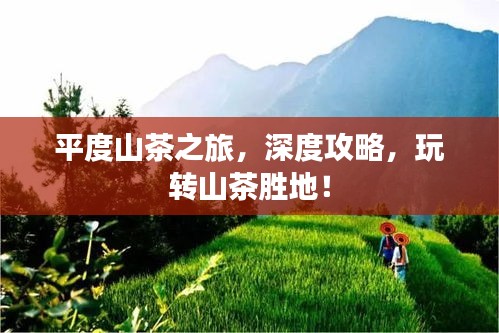 平度山茶之旅，深度攻略，玩轉山茶勝地！