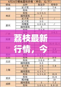 荔枝最新行情，今日價(jià)格走勢(shì)分析