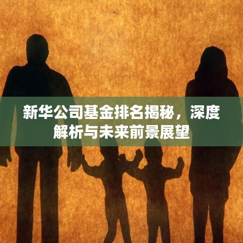 新華公司基金排名揭秘，深度解析與未來(lái)前景展望