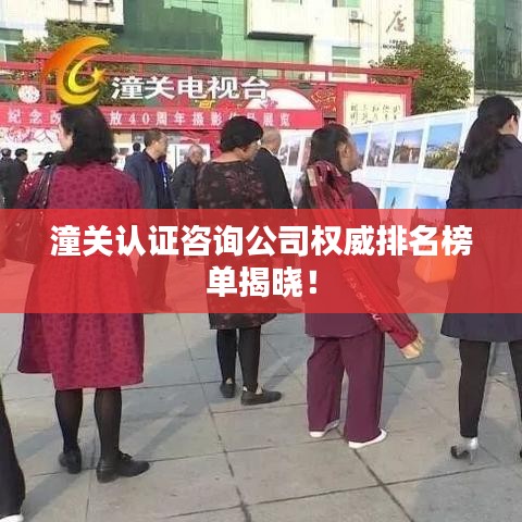 潼關(guān)認證咨詢公司權(quán)威排名榜單揭曉！
