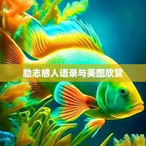 勵(lì)志感人語(yǔ)錄與美圖欣賞