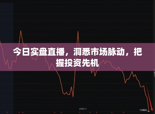 今日實盤直播，洞悉市場脈動，把握投資先機