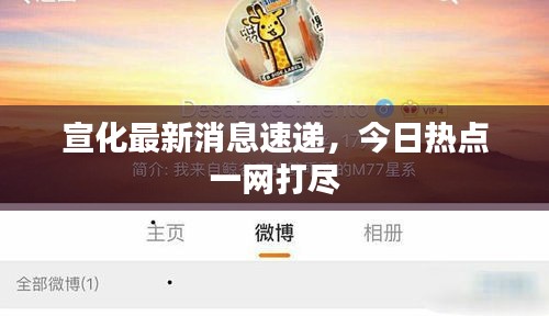 宣化最新消息速遞，今日熱點(diǎn)一網(wǎng)打盡