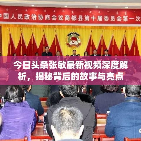 今日頭條張敏最新視頻深度解析，揭秘背后的故事與亮點(diǎn)