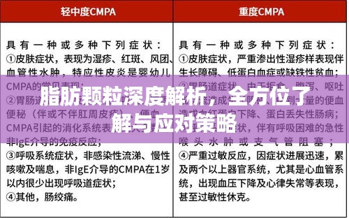 脂肪顆粒深度解析，全方位了解與應(yīng)對策略