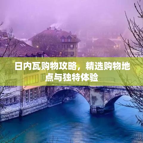 日內(nèi)瓦購(gòu)物攻略，精選購(gòu)物地點(diǎn)與獨(dú)特體驗(yàn)