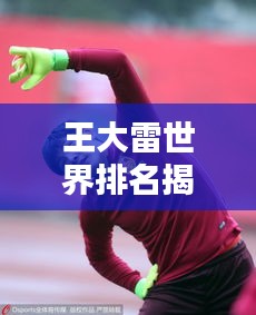 王大雷世界排名揭秘，中國(guó)足球的榮耀瞬間