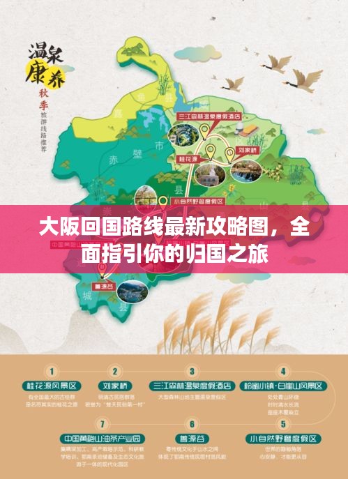 大阪回國(guó)路線最新攻略圖，全面指引你的歸國(guó)之旅