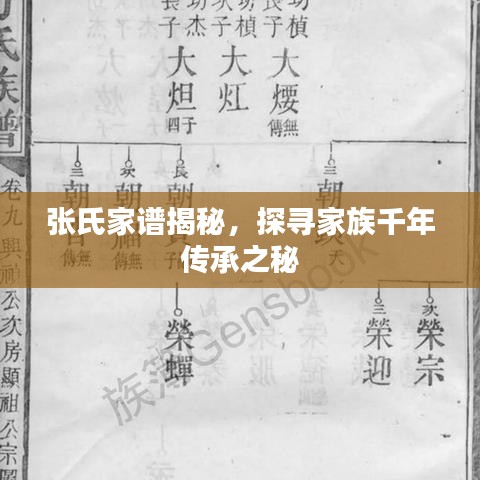 張氏家譜揭秘，探尋家族千年傳承之秘