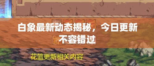 白象最新動態(tài)揭秘，今日更新不容錯過