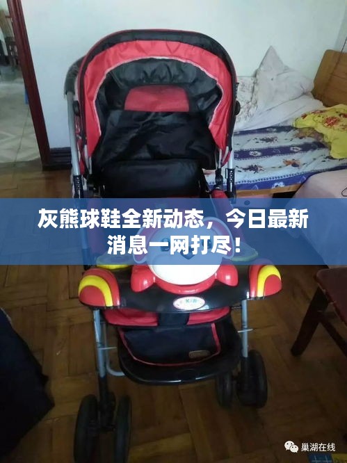 灰熊球鞋全新動態(tài)，今日最新消息一網(wǎng)打盡！