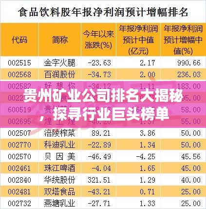 貴州礦業(yè)公司排名大揭秘，探尋行業(yè)巨頭榜單