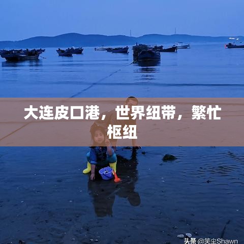 大連皮口港，世界紐帶，繁忙樞紐