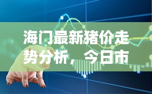 海門最新豬價走勢分析，今日市場趨勢解讀