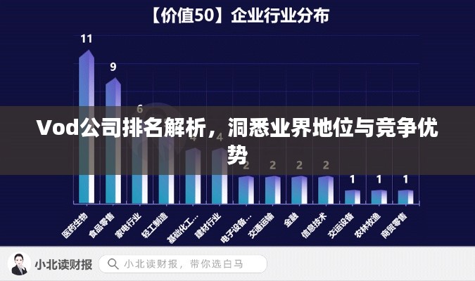 Vod公司排名解析，洞悉業(yè)界地位與競爭優(yōu)勢