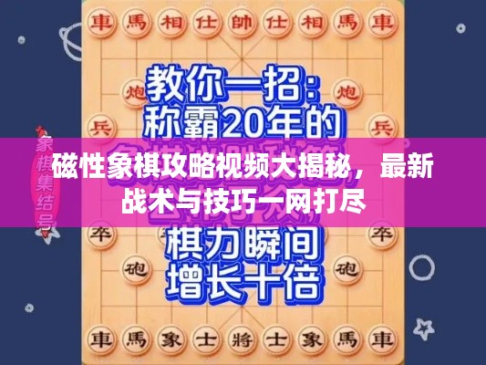 磁性象棋攻略視頻大揭秘，最新戰(zhàn)術與技巧一網(wǎng)打盡