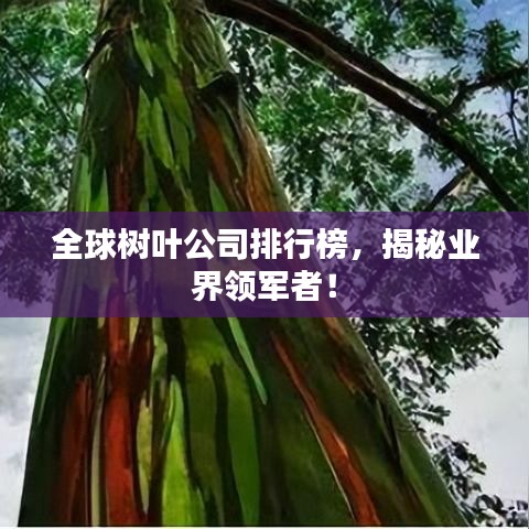 全球樹(shù)葉公司排行榜，揭秘業(yè)界領(lǐng)軍者！