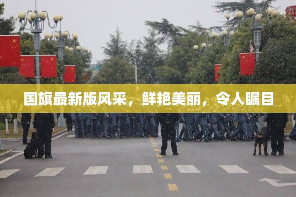 明目張膽 第3頁