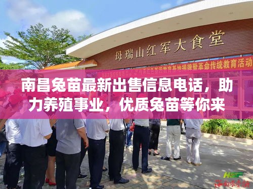 南昌兔苗最新出售信息電話，助力養(yǎng)殖事業(yè)，優(yōu)質(zhì)兔苗等你來選！