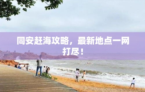 同安趕海攻略，最新地點(diǎn)一網(wǎng)打盡！