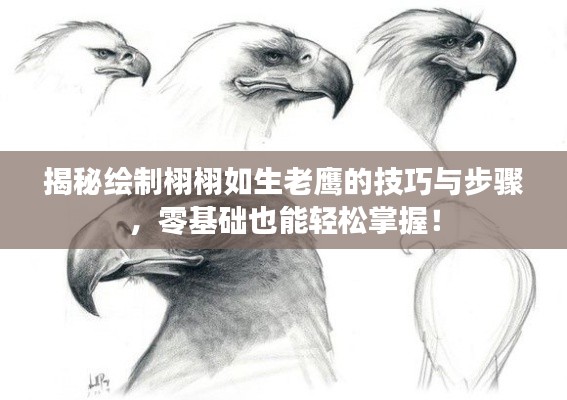 揭秘繪制栩栩如生老鷹的技巧與步驟，零基礎(chǔ)也能輕松掌握！